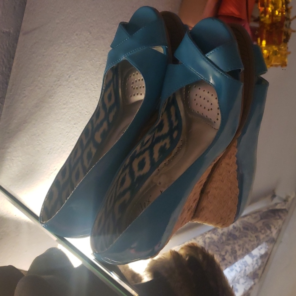 Dex Flex Wedges Blue